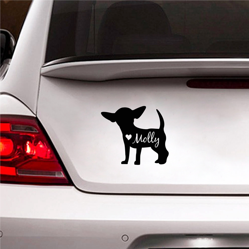 Sevimli Chihuahua Çıkartması K - Laptop Accessories Name incelemesi ve fiyatı